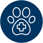 Veterinary Practices & Training Programs