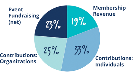 Revenue Pie Chart