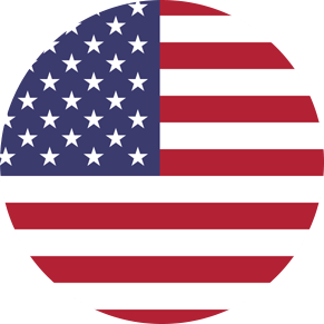 USA Flag Icon